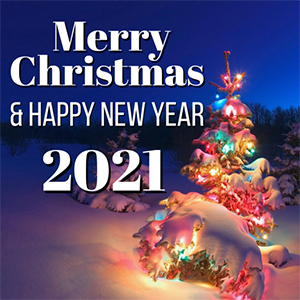 Merry Christmas and happy New Year 2021